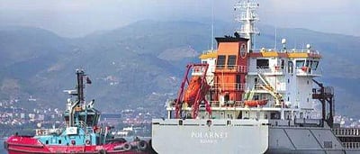 உக்ரைனிலிருந்து துருக்கி வந்தது தானிய கப்பல்