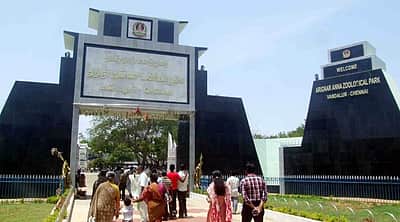 வண்டலூர் உயிரியல் பூங்கா இன்று திறந்திருக்கும்!