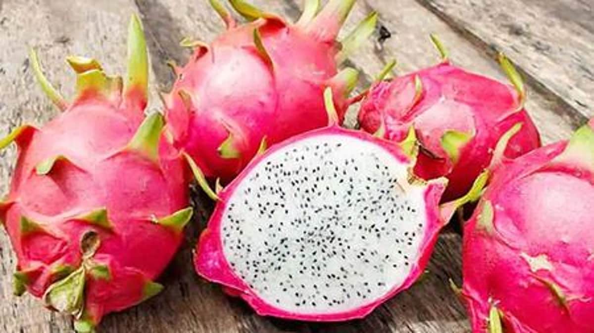 மாற்றி யோசித்ததால்.. விவசாயியாக மாறி சொந்த ஊருக்கு பெருமை சேர்த்த பட்டதாரி