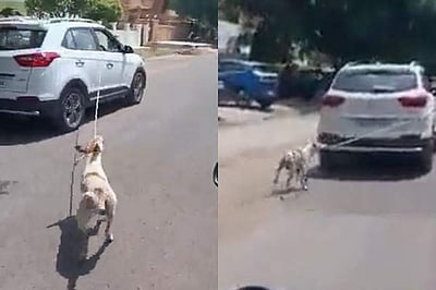 நாயை காரில் கட்டி இழுத்துச் சென்ற மருத்துவர்: வைரலாகும் விடியோ