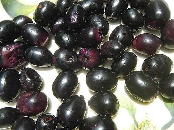 சுகம் தரும் சித்த மருத்துவம்: தொற்றா நோய்களுக்கு ‘நாவல் பழம்’ குட்பை சொல்லுமா?