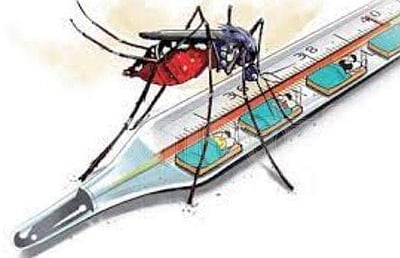 மிரட்டும் டெங்கு: தமிழகத்தில் ஒரு வாரத்தில் 113 பேருக்கு பாதிப்பு!