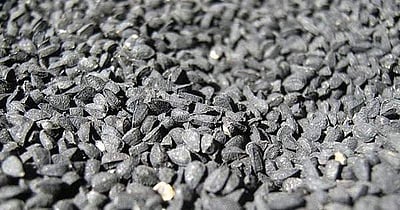 சுகம் தரும் சித்த மருத்துவம்: நீரிழிவு நோயில் சிறுநீரக செயல்பாட்டை சீராக்கும் ‘அதிசய மூலிகை’