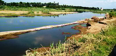 திருப்புவனம் அருகே இடிந்து விழுந்த கால்வாய் தடுப்புச் சுவா் சீரமைப்பு பணி தாமதம்!