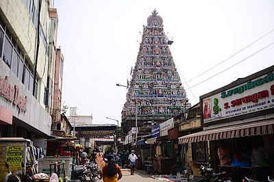 கபாலீசுவரா் கோயில் மயில் சிலையின் அலகில் இருந்தது மலரா, பாம்பா? - ஆய்வு செய்ய உயா் நீதிமன்றம் உத்தரவு