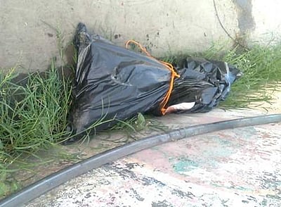 சென்னையில் பிளாஸ்டிக் பையில் கொலை செய்யப்பட்ட உடல்: யார்?, எதற்காக கொலை செய்யப்பட்டார்? 