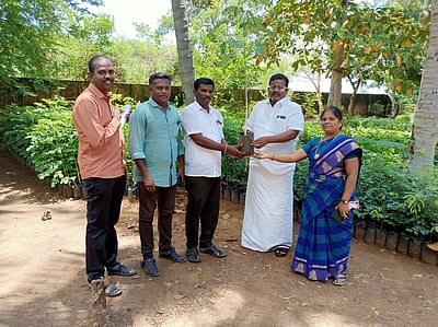 ஸ்ரீவிலி. ஊராட்சிகளுக்கு மரக்கன்றுகள் விநியோகம்