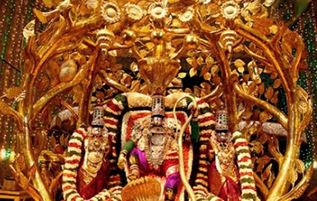 பிரம்மோற்சவத்தின் நான்காம் நாள்: கற்பக விருட்ச வாகனத்தில் மலையப்பசுவாமி!