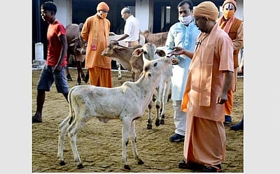 பயிர்ச்சேதம்: விவசாயிகளுக்கு ரூ.192 கோடி ஒப்புதல்