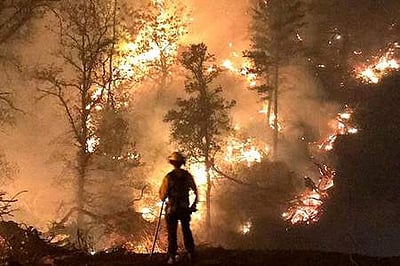 துருக்கியில் காட்டுத் தீ: 1000 பேர் வெளியேற்றம்!