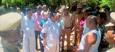 சதுரகிரி அடிவாரப் பகுதியில் வனத்துறை அமைச்சா் ஆய்வு