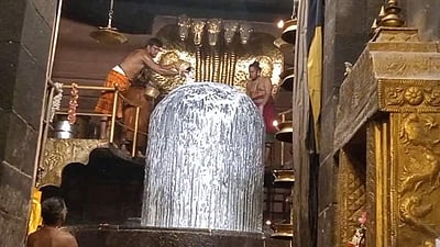 ஆங்கிலப் புத்தாண்டு: தஞ்சை பெருவுடையாருக்கு சிறப்பு அபிஷேகம்