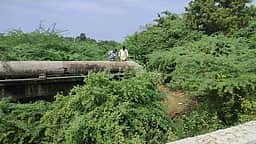தா.பழூா் அருகேயுள்ள சித்தேரியை தூா்வார வேண்டும்! விவசாயிகள் கோரிக்கை!