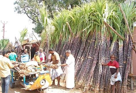 கொள்முதல் விலையைவிட கரும்பின் விற்பனை விலை இரட்டிப்பு!