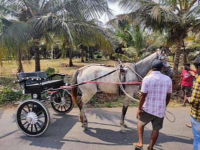 பொங்கல் திருநாள்: சேலத்தில் தயாராகும் ரேக்ளா வண்டிகள்!