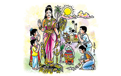 பொங்கல் வந்தனளே...!