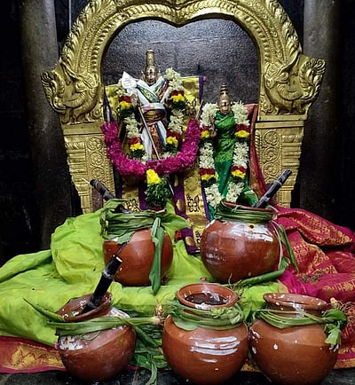 திருப்பரங்குன்றம் சுப்பிரமணிய சுவாமி கோயிலில்  பாரம்பரிய முறைப்படி மண்பானை பொங்கல்!