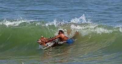அலங்காரத்துடன் மாடுகளை வழிபாடு செய்த மக்கள் - புகைப்படங்கள்