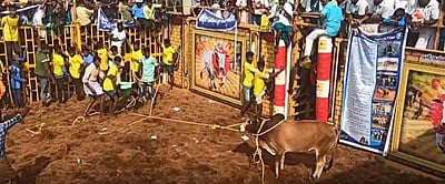 திருச்சி திருவெறும்பூரில் ஜல்லிக்கட்டு: 700 காளைகள் பங்கேற்பு