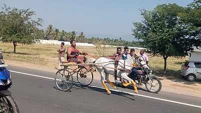 அனுமதியின்றி ஆத்தூரில் ரேக்ளா போட்டி!