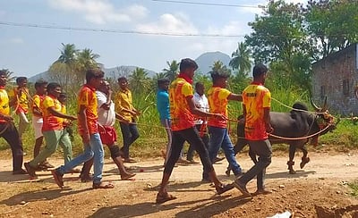 வாழப்பாடி பகுதியில் காணும் பொங்கல் விழா: கிராமங்கள் தோறும் எருதாட்டம் கொண்டாட்டம்!