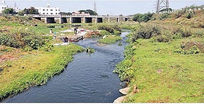 'செத்துப்போன' சென்னை ஆறுகள்!