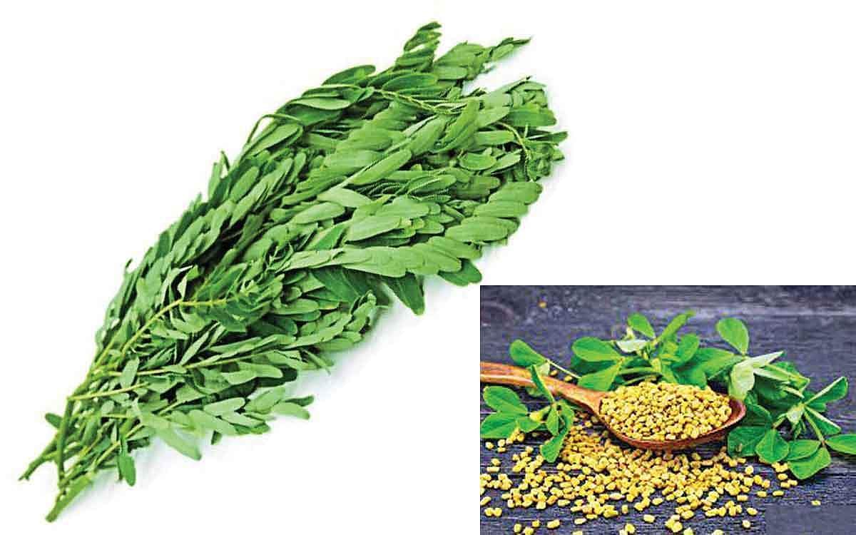 பாட்டி வைத்தியம்..