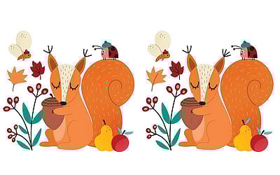 கண்டுபிடி கண்ணே!