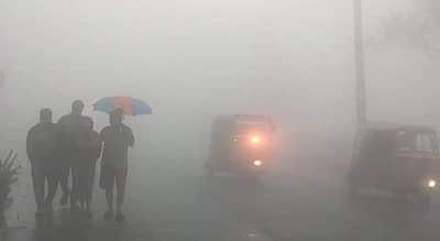 ஏற்காட்டில் கடும் பனிப்பொழிவு: சுற்றுலாப் பயணிகள் பாதிப்பு