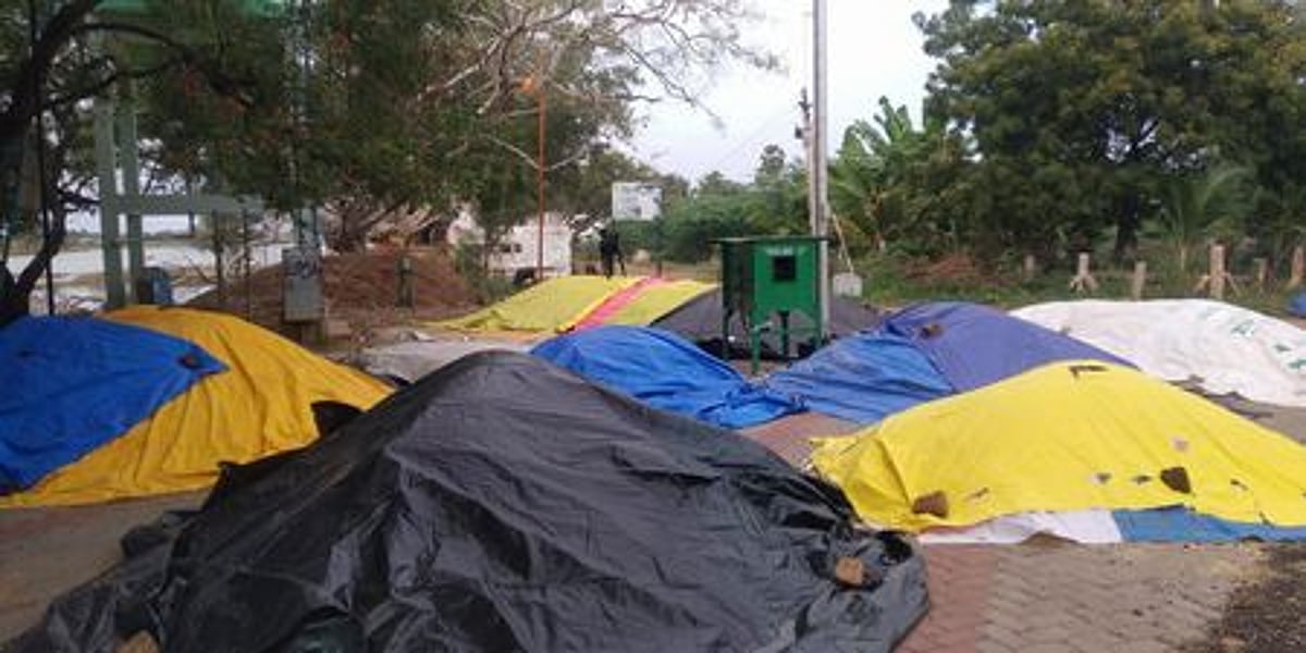 மதுரை மாவட்டத்தில் நெல் கொள்முதல் நிலையங்கள் அதிகளவில் திறக்கப்படுமா?