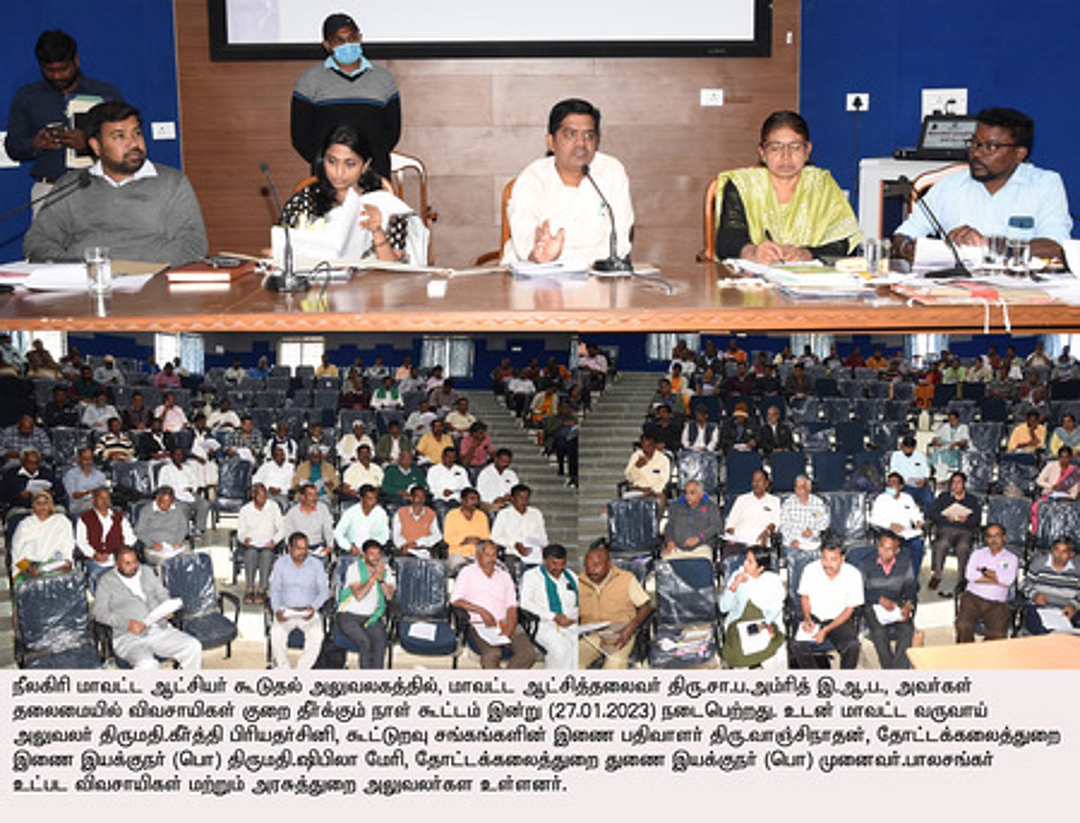 News image