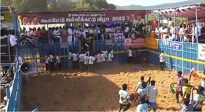 கூலமேடு ஜல்லிக்கட்டு: 650 காளைகள், 300 மாடுபிடி வீரர்கள் பங்கேற்பு