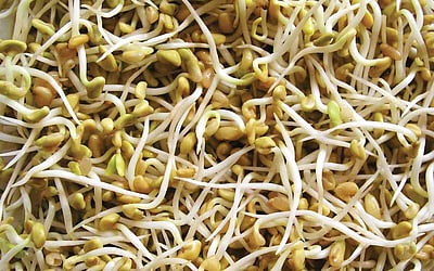 உணவும் ருசியும்...!