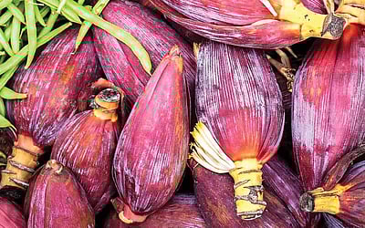 பாட்டி வைத்தியம்...