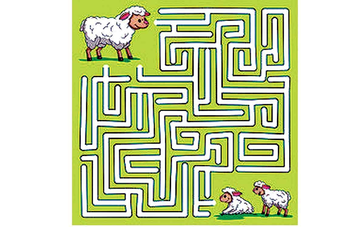 வழிகாட்டுங்கள்