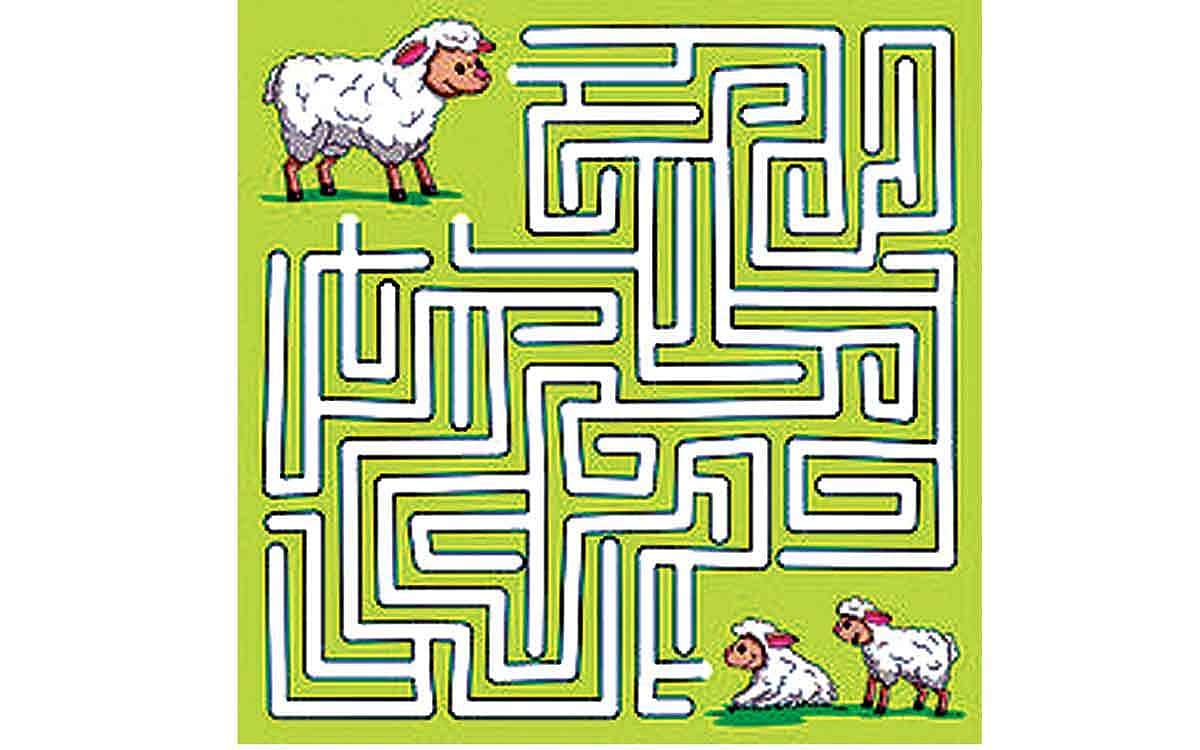 வழிகாட்டுங்கள்