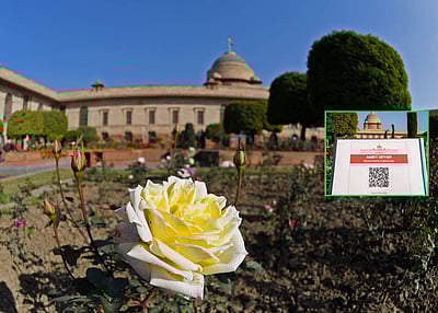 அம்ரித் உத்யன் என பெயர் சூட்டப்பட்ட குடியரசுத் தலைவர் மாளிகை தோட்டம் - புகைப்படங்கள்