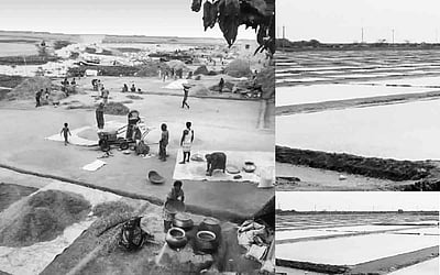 நெற்களமும்  உப்பளமும்