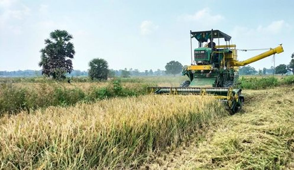 நெல் அறுவடை இயந்திர வாடகை உயா்வால் விவசாயிகளுக்கு இழப்பு