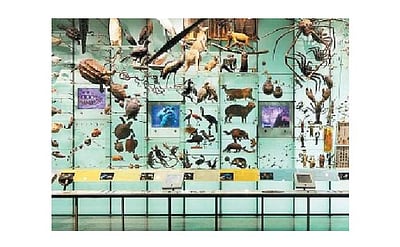 பல்லுயிர் பேணுதல் மானுட அறம்