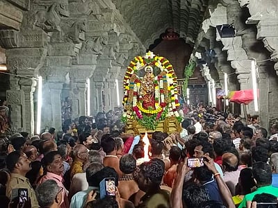 நெல்லையப்பர் கோயிலில் ஆருத்ரா தரிசனம்!