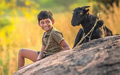 விலங்குகளின் அன்பில் அப்பழுக்கு இல்லை!