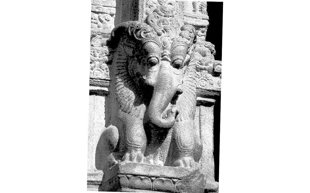 ஆனையை வெல்லும் ஆளி