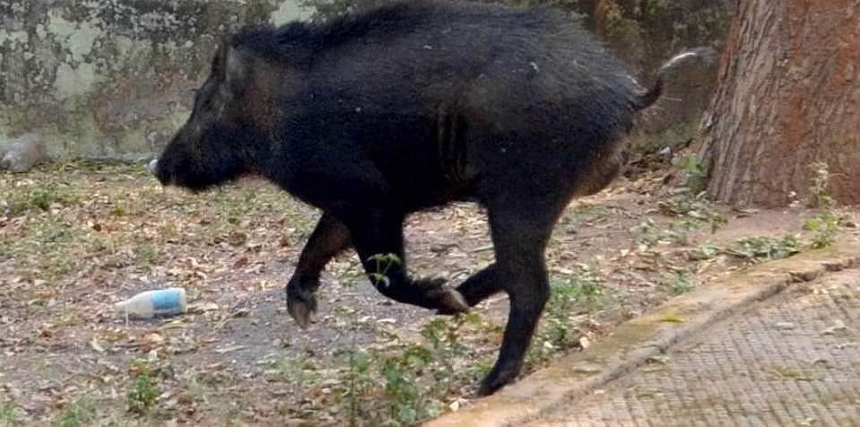 News image
