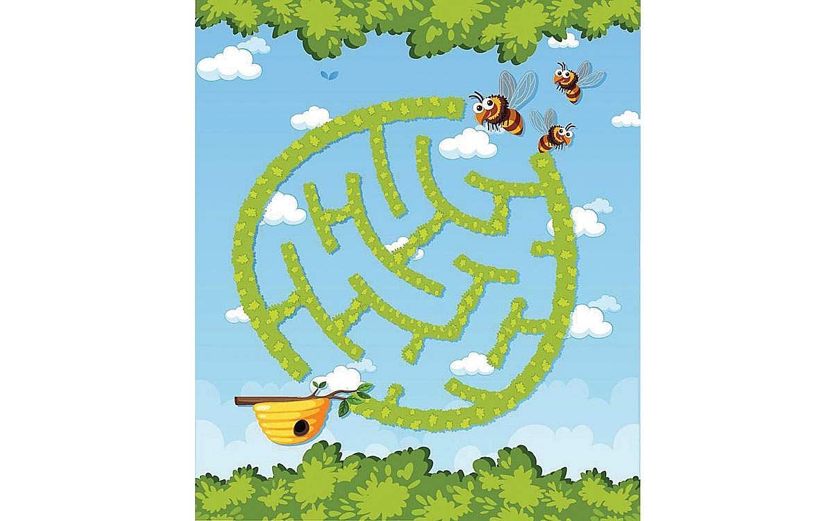 வழி காட்டுங்கள்