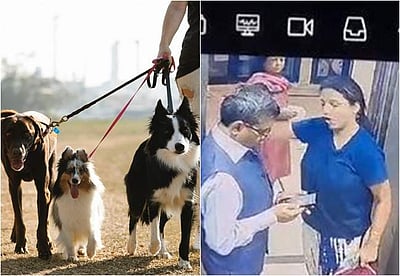 வளர்ப்பு பிராணியால் சச்சரவு, ஐஏஎஸ் அதிகாரி அத்துமீறல்: வைரலாகும் விடியோ!