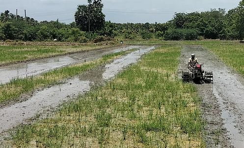 விஏஓ சான்றுகள் கிடைப்பதில் இழுபறி: பயிா் காப்பீடு செய்ய முடியாமல் விவசாயிகள் தவிப்பு