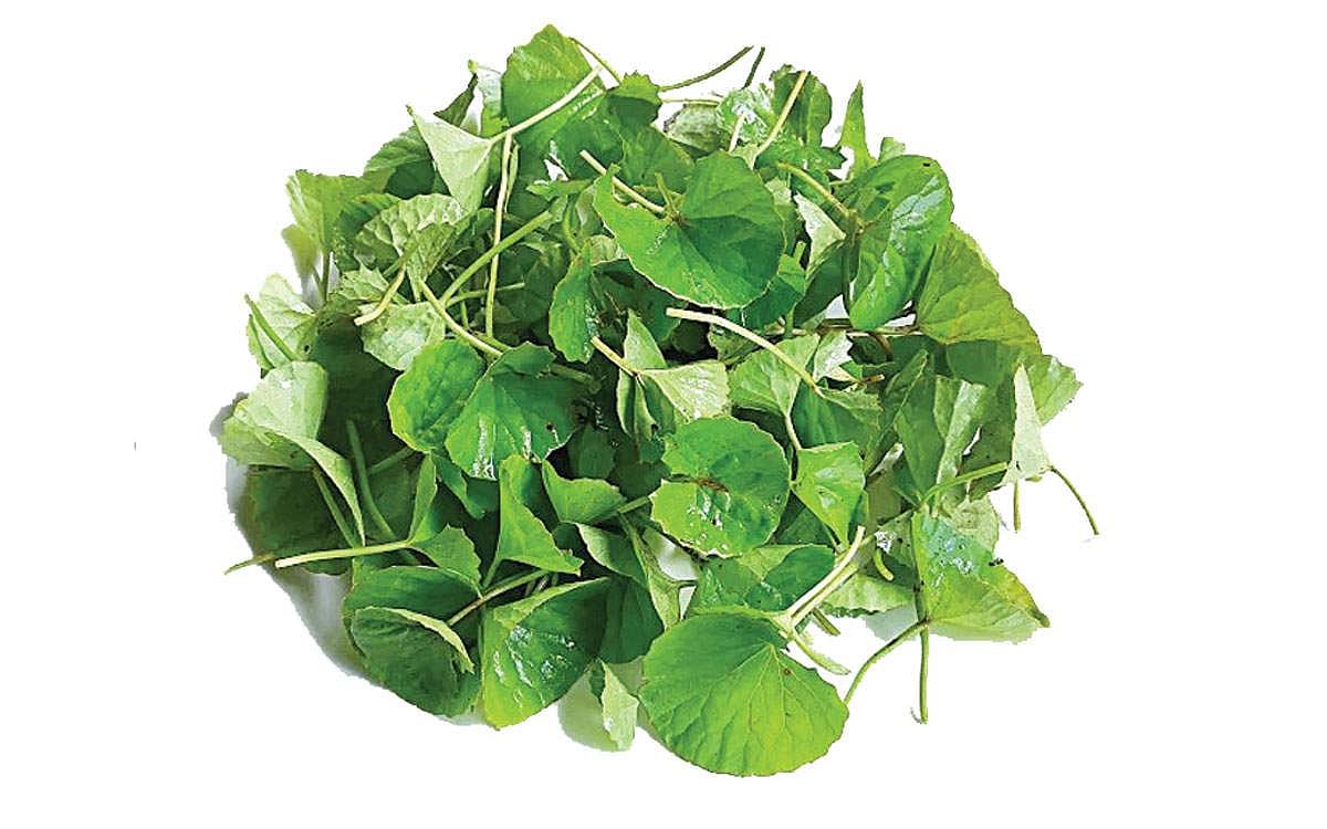 ஆயுள் காக்கும் ஆயுர்வேதம்: உணவு மாற்ற அவதிகள் சரியாக...