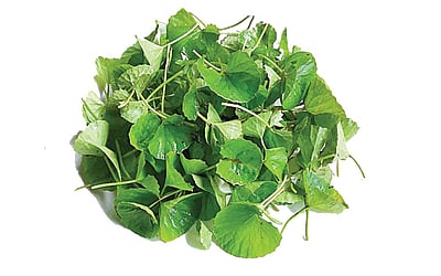 ஆயுள் காக்கும் ஆயுர்வேதம்: உணவு மாற்ற அவதிகள் சரியாக...