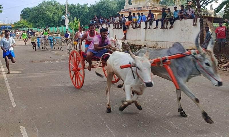 News image